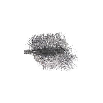 Brosse rectangulaire eneove 100x50