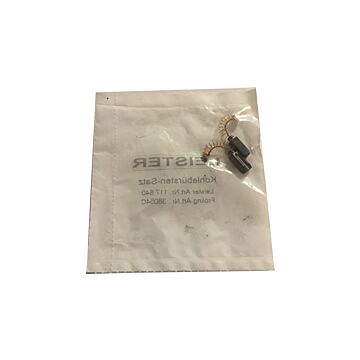 Charbon allumeur Leister 