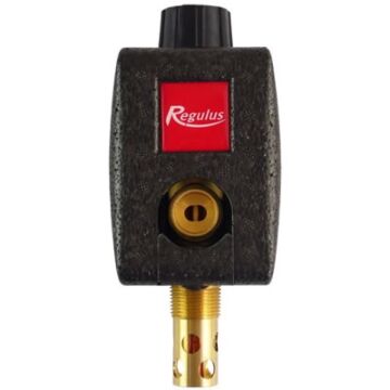 Regulus DBV1 avec isolation