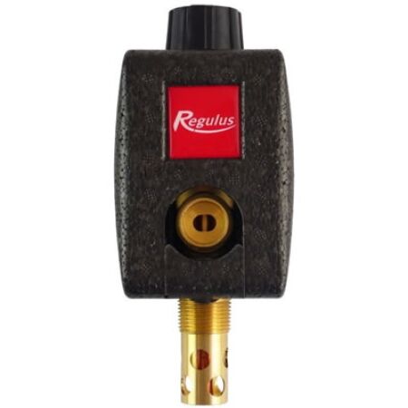 Regulus DBV1 avec isolation