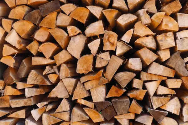 Pouvoir Calorifique du Bois : 4 Clés pour Optimiser votre Chauffage